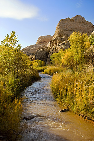 Freemont River, Capitol Reef National Park, UT